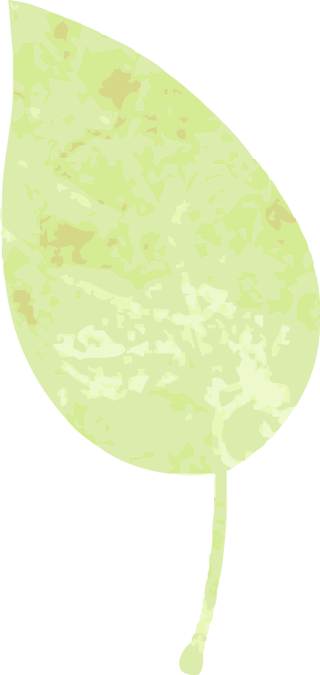 吉安武功山 | 给你旅行的另一种答案