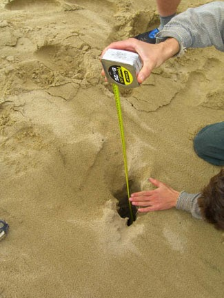 小心脚下！这种“活”沙丘会吃人，6岁男孩瞬间被吞噬，沙下藏着什么？