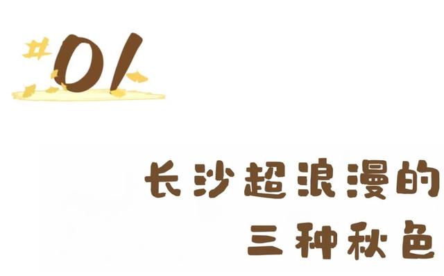 文旅湘江丨绝对不可以，错过长沙版的「秋日芦苇海」