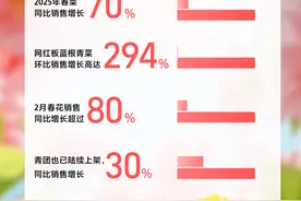 “顺时而食”，中山糖心菊成为春菜新“网红”图片