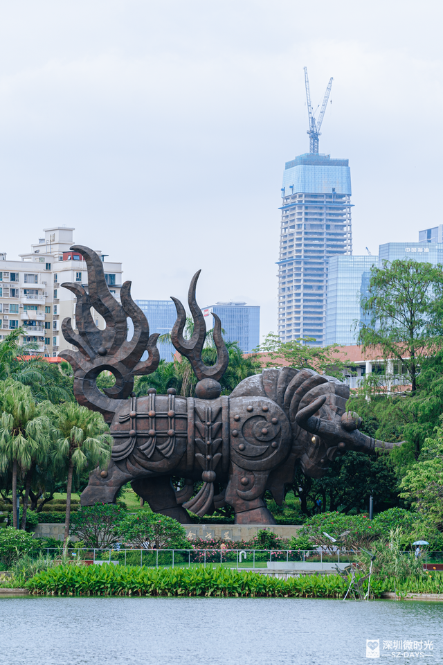 一条荔园路，多少蛇口人的前半生