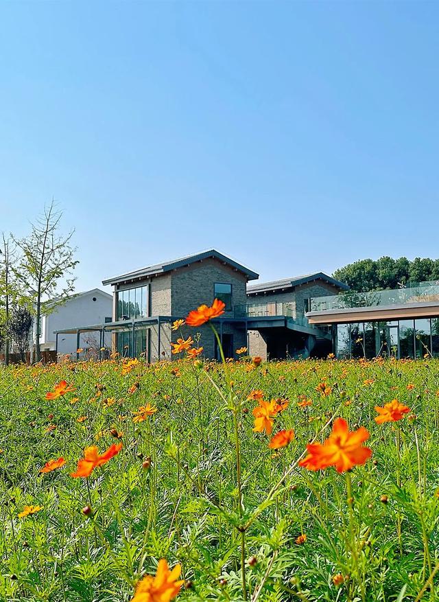 4折起，开启武汉高性价比秋日微度假！