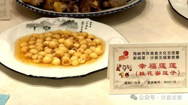 秋日citywalk新选！湖源乡柳杉公园：竹林深处的“慢时光”，专治城市焦虑
