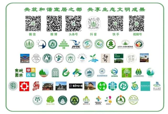 活动报名｜北京公园自然观察季10.6-10.12，公园追秋walk限时速来～