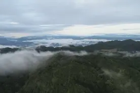 开屏策划｜云南人把动物 “跳” 成非遗！原来老祖宗也“抄作业”！图片