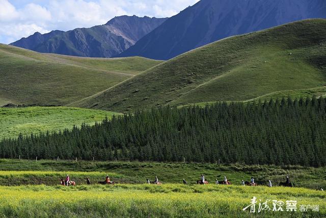 八月祁连，生态旅游热潮涌动