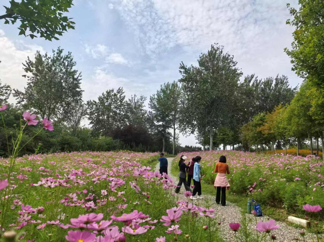 济南植物园“花境展 + ”五大特色活动，晋升国庆假期热门“打卡地”