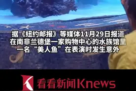 南非美人鱼表演时尾部被卡 女子迅速脱衣逃生图片