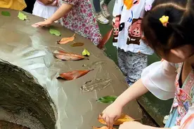 重庆二师附二幼：树叶拓印激发孩子创造力想象力图片