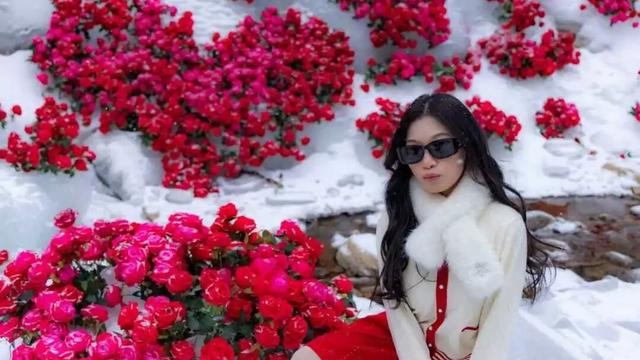 这个冬天，别再“猫冬”啦！300米超长滑道，来这开启嬉冰赏景的雪上之旅