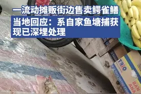 河南信阳一流动摊贩售卖鳄雀鳝，系自家鱼塘捕获，现已深埋处理图片