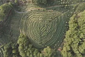 七一文学丨我从山里来图片