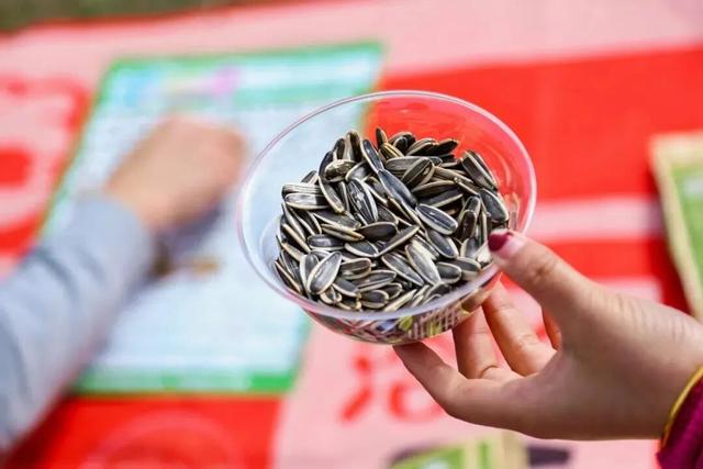 龙虎仙山邀您共赴秋日之约！10月25日起免费畅游体验牧场，骑马赏花探萌宠，邂逅龙虎仙境！