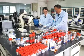 火爆“异宠”！海关单次截获“异宠”430只 包含世界最大甲虫之一的“大力神”图片