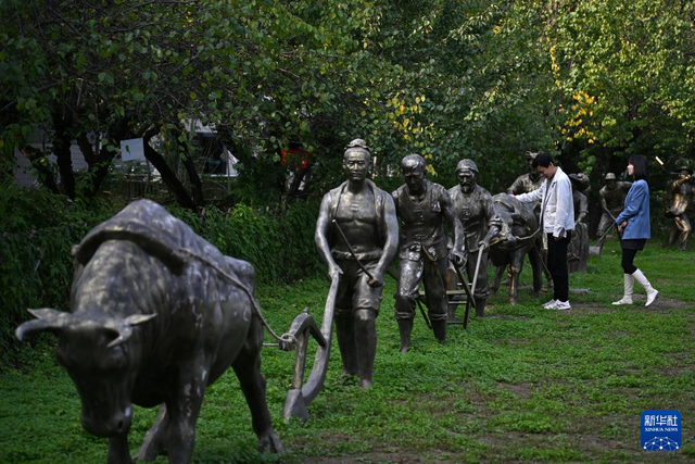 走进西北农林科技大学博览园