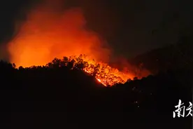 他们在开平山火中逆行，每一个人都全力以赴图片