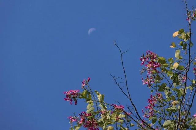 WOW，柳州超多赏秋打卡地，随手出大片！