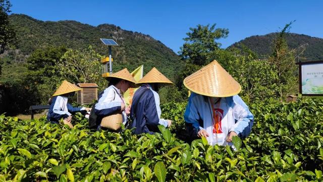 英德打造“研学之城”成效显著 为粤港澳大湾区提供实践教育新选择