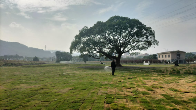 朋友圈被问爆了！不在国外，在舟山！