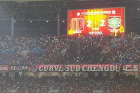 让二追二 国安客场逼平成都蓉城图片