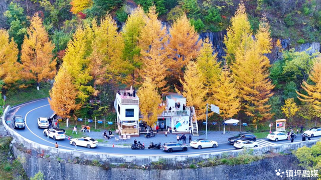 陕西镇坪县：红叶铺展生态长卷 深山小城焕发文旅活力