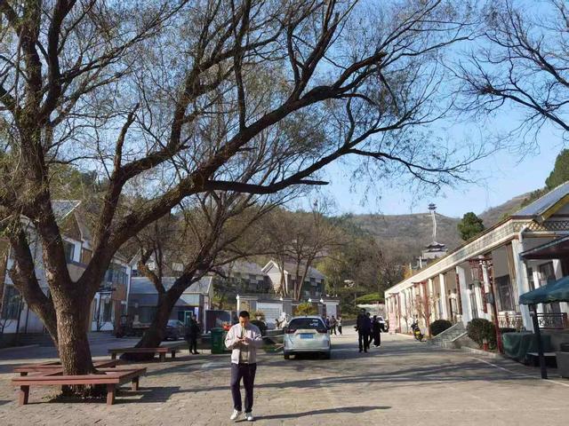 对标4A 邹平鹤伴山景区焕新亮相