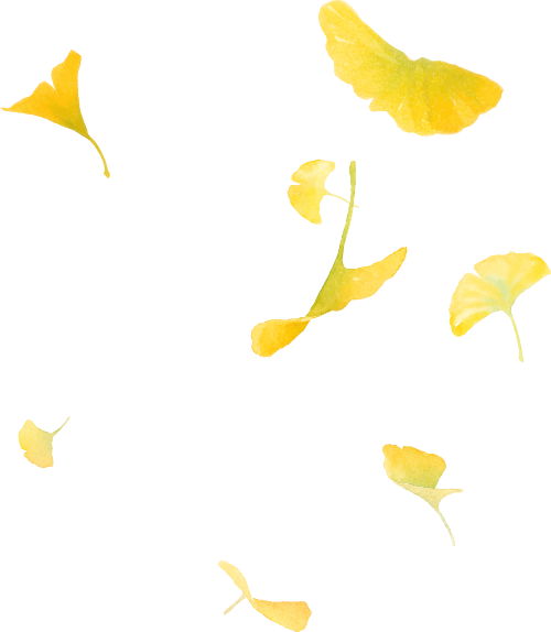 金山这些地方“含金量”满满，再不去等明年…