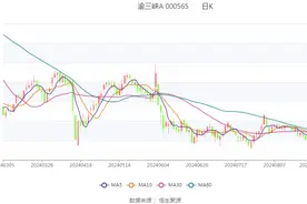 渝三峡A：2024年上半年盈利2007.23万元 同比扭亏图片
