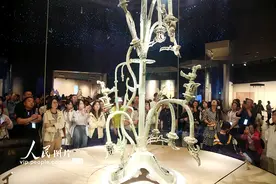 四川广汉：三星堆博物馆人气旺图片