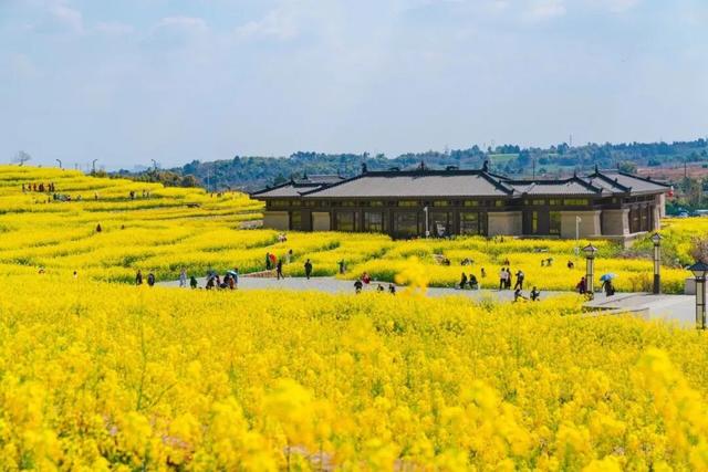 肥肠粉必须配军屯锅魁·····这对CP太好磕