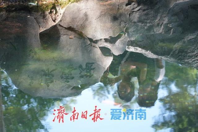 一年四季 泉在济南丨泉声叮咚迎客至 盛夏济南“泉水游”持续火热