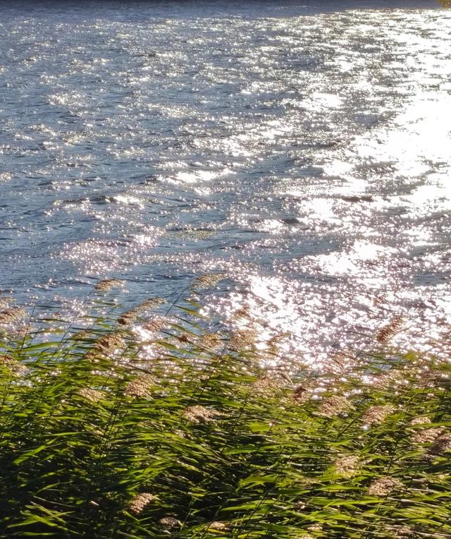 别再挤大理海西啦！海东塔村段廊道才是洱海私藏款