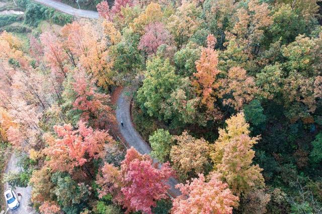 天门村：枫红云海间的千年一瞥