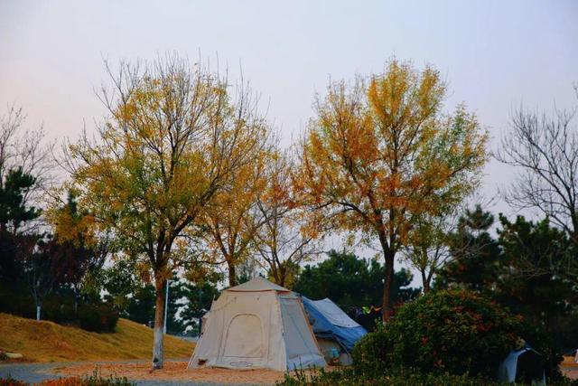 真正的浪漫，是冬天去威海看海