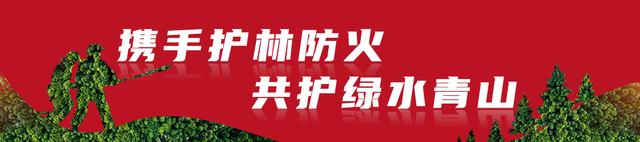“彩云行”网络安全主题调研采访活动走进丽江 探寻数字经济发展中的“安全密码”