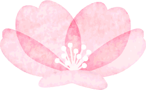 追花人出动！南宁这片免费的花海，你一定想去拍大片→
