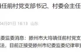 涉嫌严重违纪违法！山东滕州市大坞镇任前村党支部书记、村委会主任任中淼被查图片