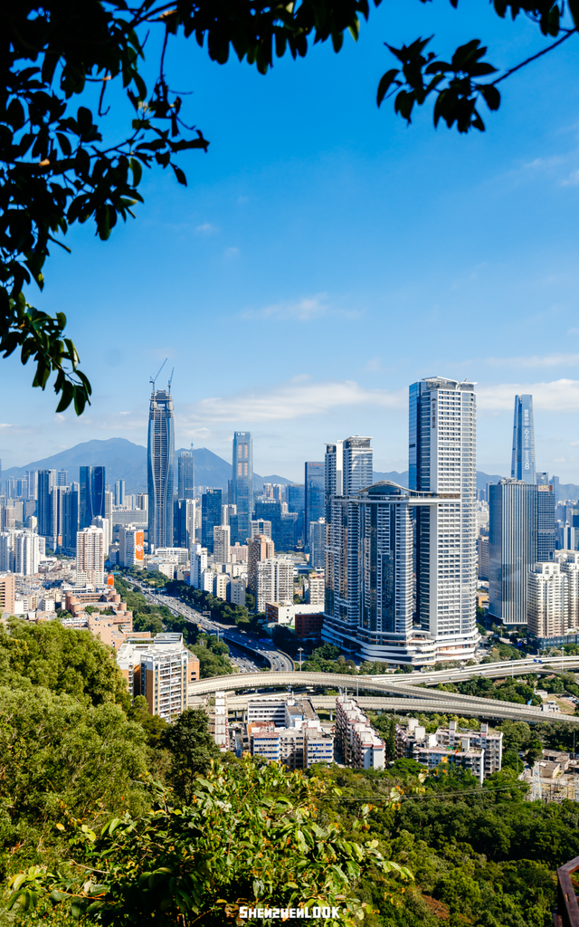 开在公园里的玻璃书房 · 深圳新安静空间