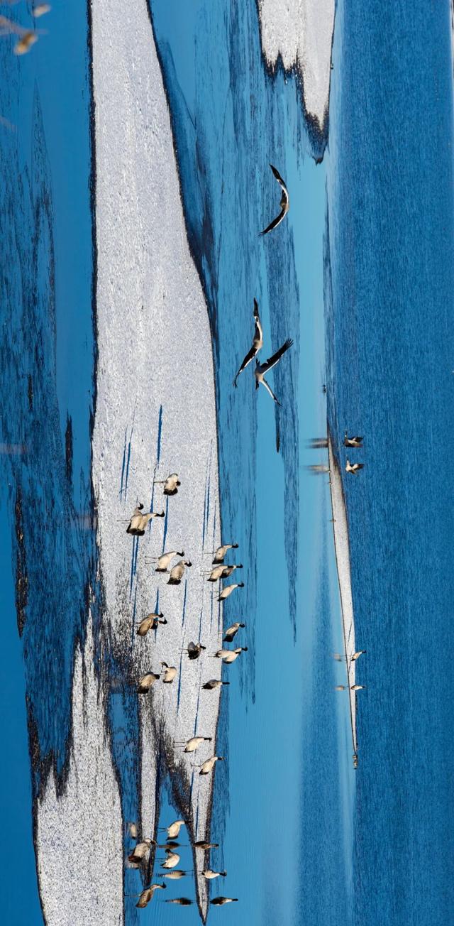 12月，去云南→踏雪而行，向山而去