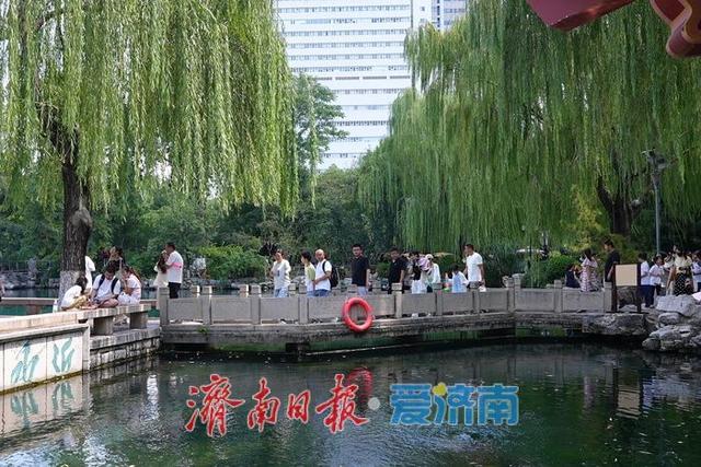 一年四季 泉在济南丨泉涌潺潺迎处暑 五龙潭畔游人乐