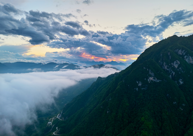 乐游绵阳 清凉一夏 ‖ 立秋已过，平武多了几分“姿色”！云海、花海、森林与田园的诗意交响~