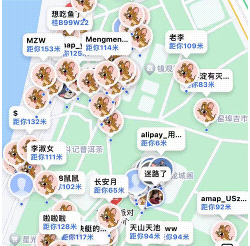 “紫荆之友·幸福联线”第二期上线！这次来玩猫抓老鼠→