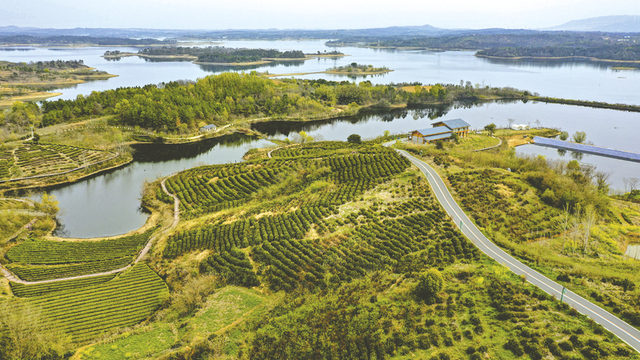 随州旅游一号公路探访｜一条公路促进城乡融合