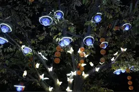 爱上日照 | ㉗日照的山很美，美食也很不错！图片