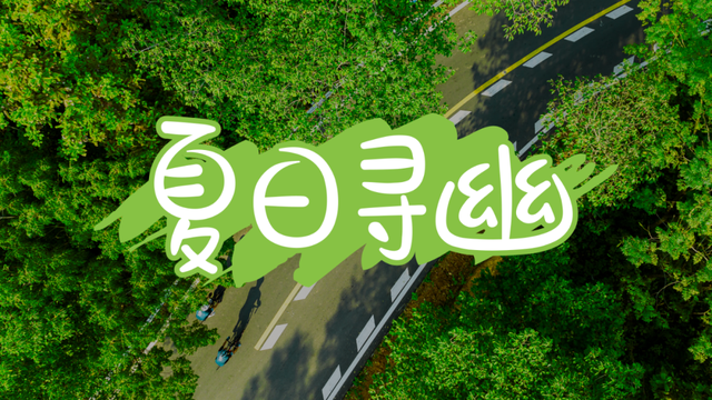这个展会，江宁精彩亮相！