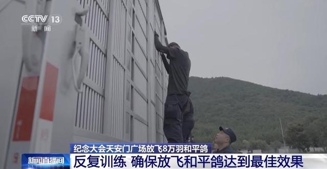90秒放飞8万羽和平鸽 支持浪漫一幕的是背后的“硬核科技”