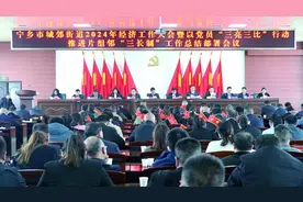 聚势蓄能再出发——宁乡市城郊街道实干当先开启高质量发展新征程图片