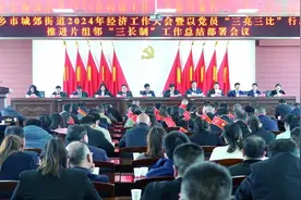 聚势蓄能再出发——宁乡市城郊街道实干当先开启高质量发展新征程图片