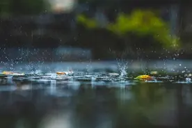 上海今天局部中到大雨，返程注意安全！这条路凌晨1点才恢复正常通行，现在又堵上了……图片