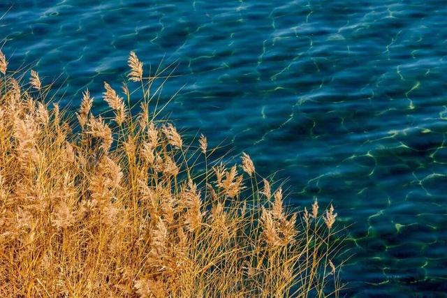 【冬季暖阳 凉山不凉】一湖碧水映云天，摩梭风情醉心间